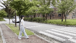 5.gif